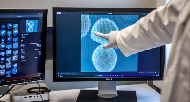 Switzerland Science Brain Technology Research